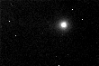 cometa CMcNaught2.gif