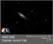 NGC3628 ST8 CGEM800 RedFoc (30 de 20'') 01.jpg